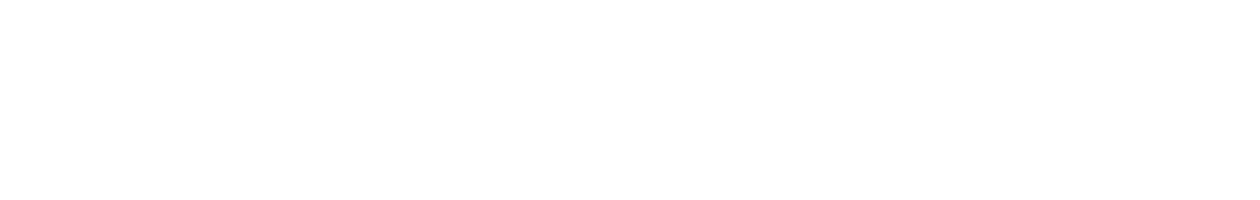 Horizontal Logo light 